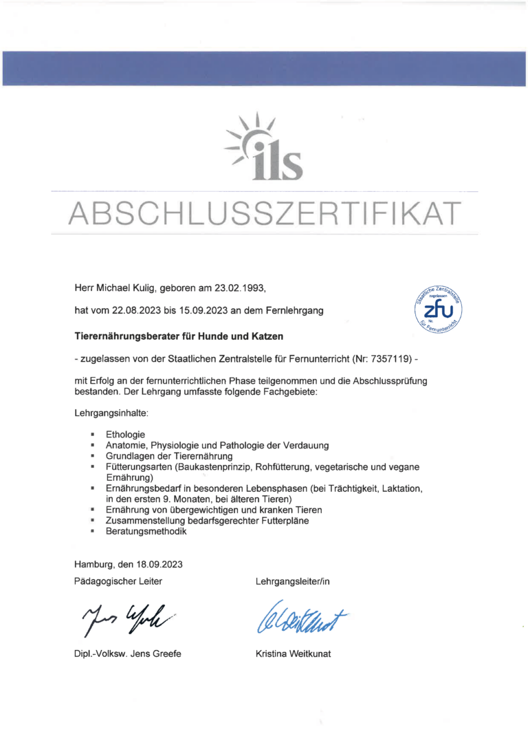 Abschlusszertifikat von Michael Kulig Fithund Hundeschule Dortmund