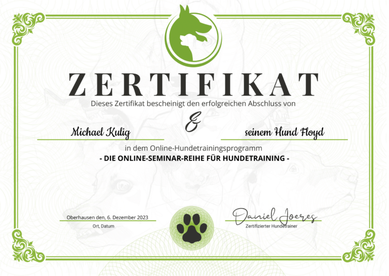 Zertifikat Online Seminar Reihe Michael Kulig