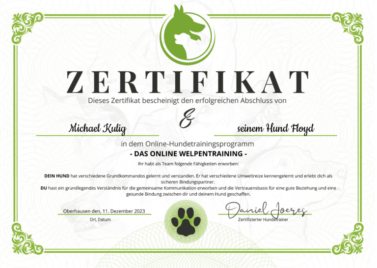 Zertifikat Online Welpentraining Fithund Hundeschule Dortmund