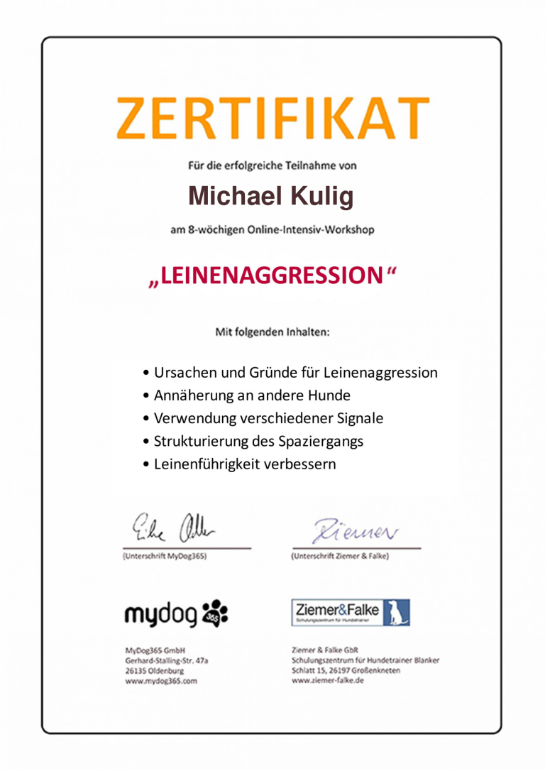 Zertifikat Leinenaggression FitHund Hundeschule Dortmund