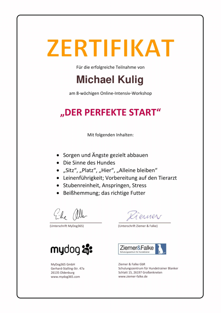 Zertifikat Welpentraining Der perfekte Start FitHund Hundeschule Dortmund