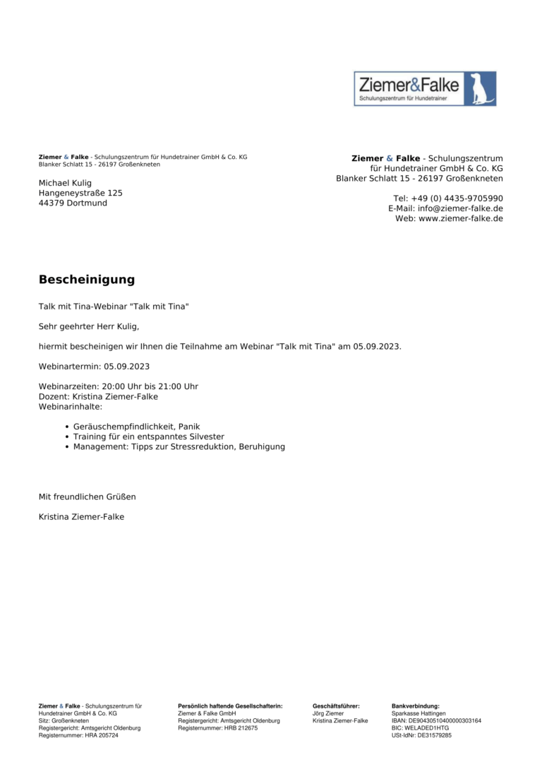 Teilnahmebescheinigung Michael Kulig Silvesterangst