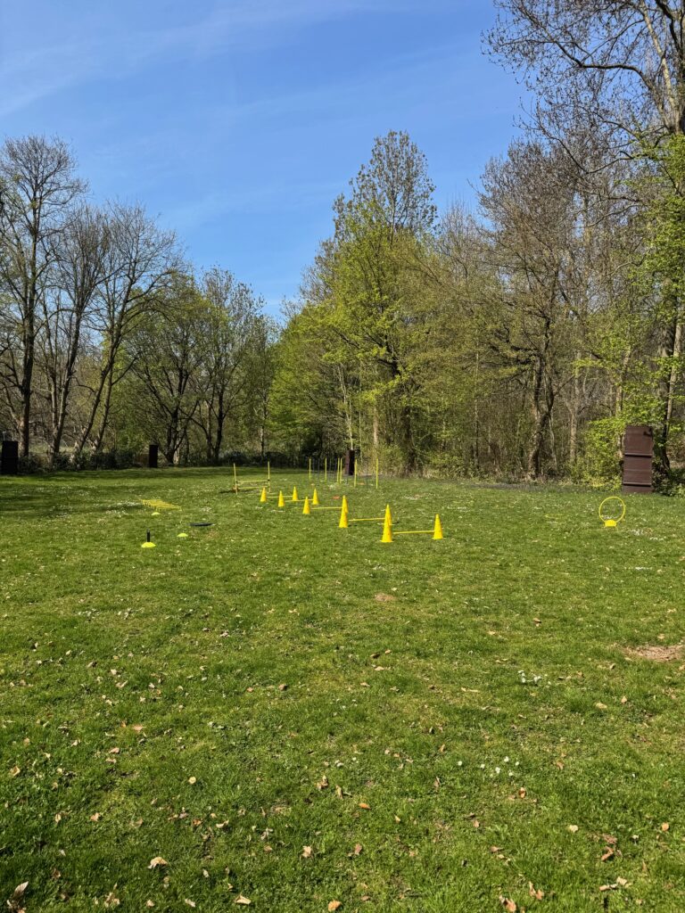 FitHund Hundeplatz