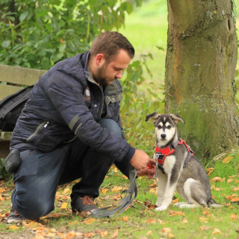 Michael aus Fithund Hundeschule Dortmund mit seinem Hund Floyd