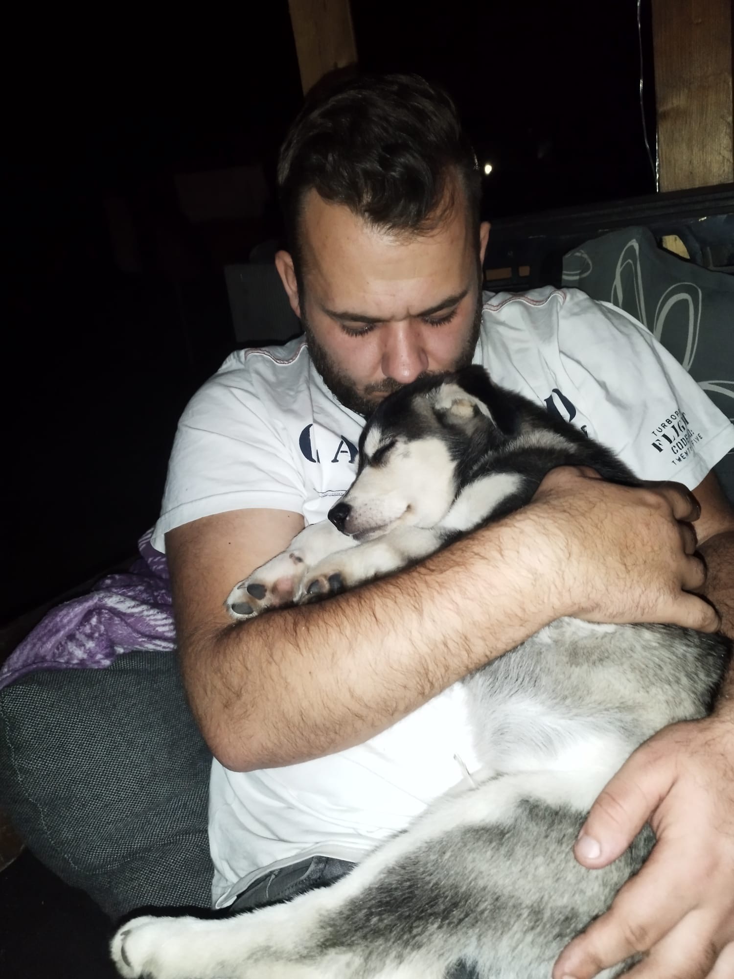 Eine Umarmung mit Floyd die alles verändert hat - der Weg zum Hundetrainer Dortmund.