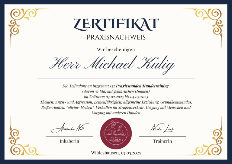 Praxisstunden Dogs&Sports Academy Michael Kulig FitHund