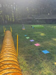 Welpenschule Welpentraining Dortmund