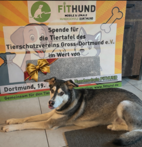 Floyd präsentiert den verdeckten Spendencheck von FitHund an die Tiertafel Dortmund