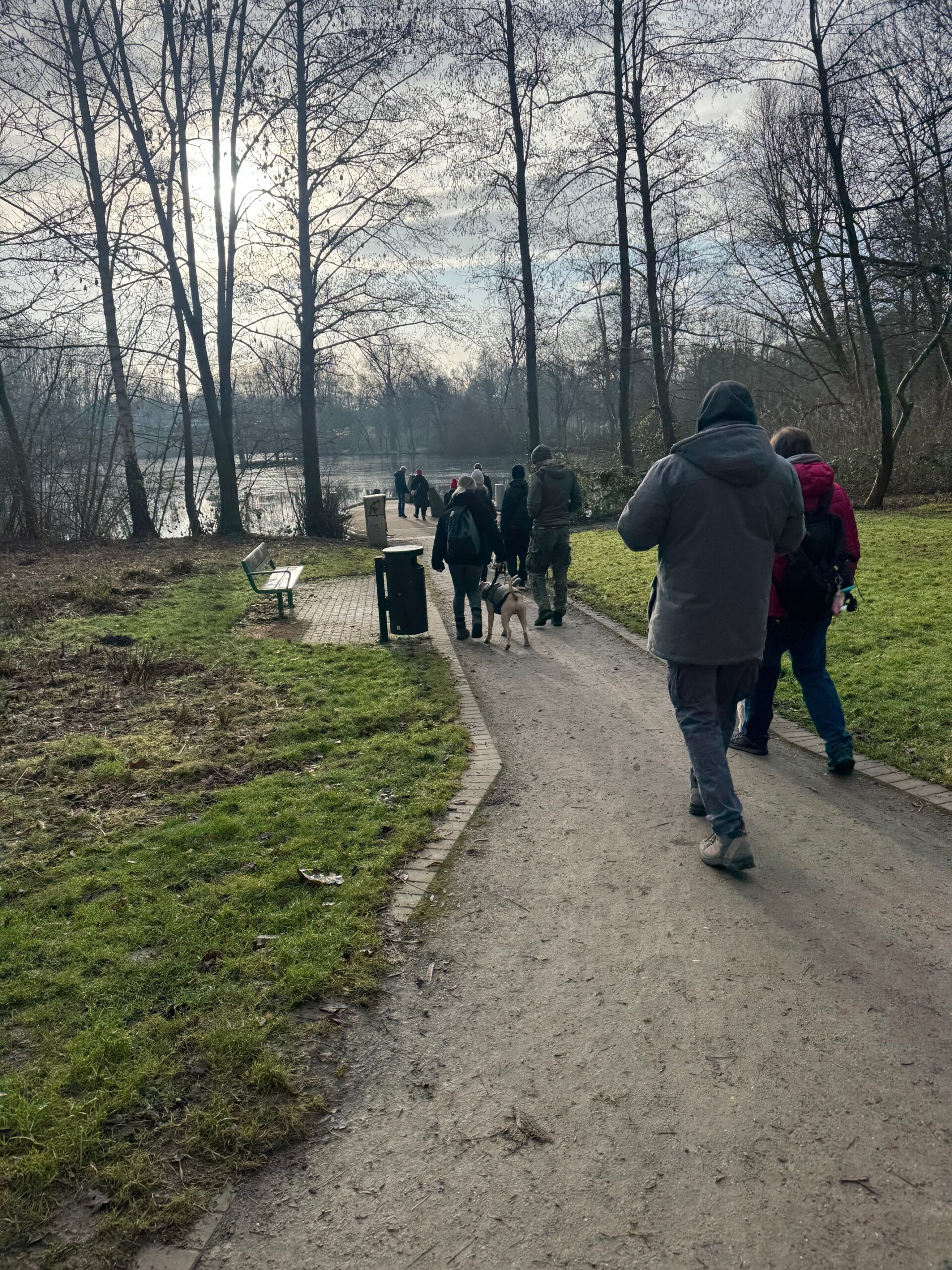 Social Walk der Hundeschule FitHund auf einem Steg im Revierpark Wischlingen in Dortmund