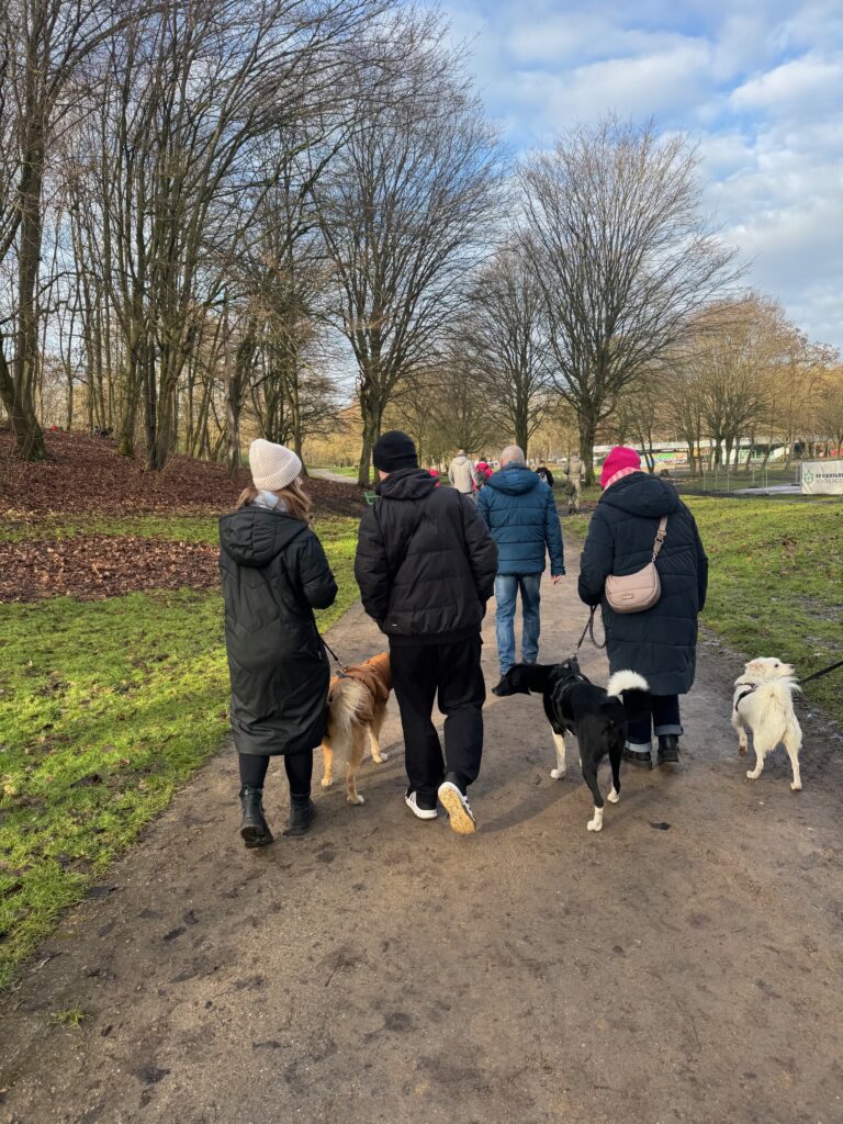 Hundetraining in Dortmund – Social Walk von FitHund mit nebeneinander laufenden Teams