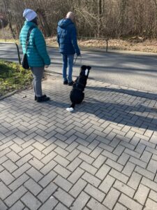 Sitz vor dem Boardstein Training beim Social Walk im Rahmer Wald