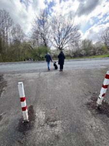 Social Walk Straße überqueren vorher macht der Hund Sitz