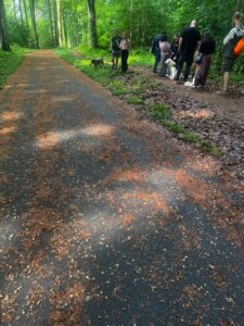 Hundetraining in Dortmund, alle Hunde bleiben entspannt sitzen und ein Hund geht entspannt vorbei.