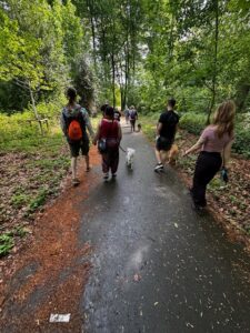 Zwei Hunde laufen nebeneinander beim Social Walk in Dortmund