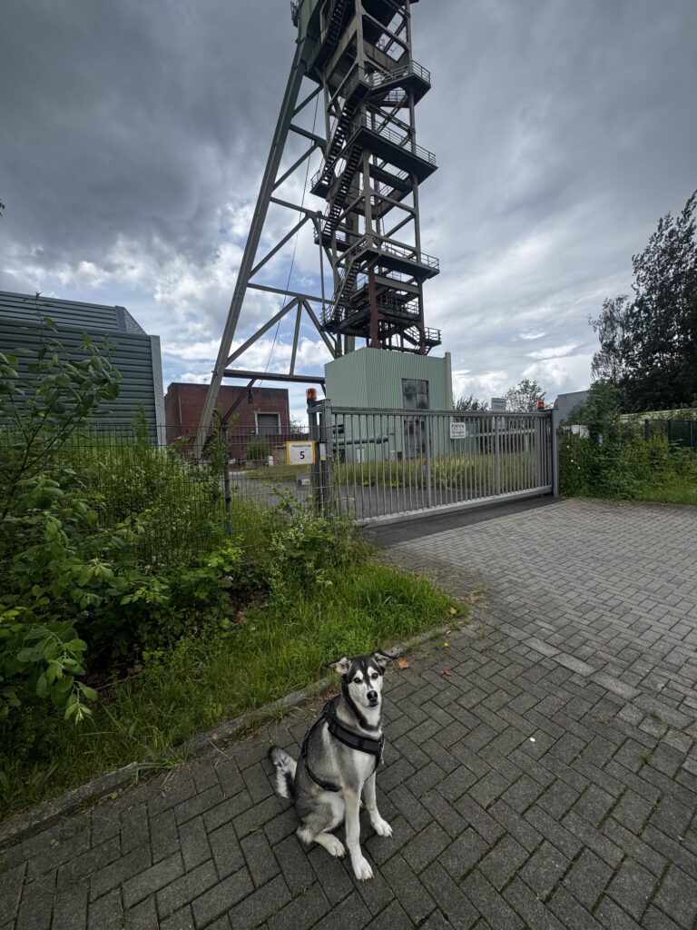 Die Kokerei Hansa zählt zu den bekanntesten Wahrzeichen in Dortmund-Huckarde und bietet rund um das Gelände abwechslungsreiche Wege für Spaziergänge mit dem Hund.