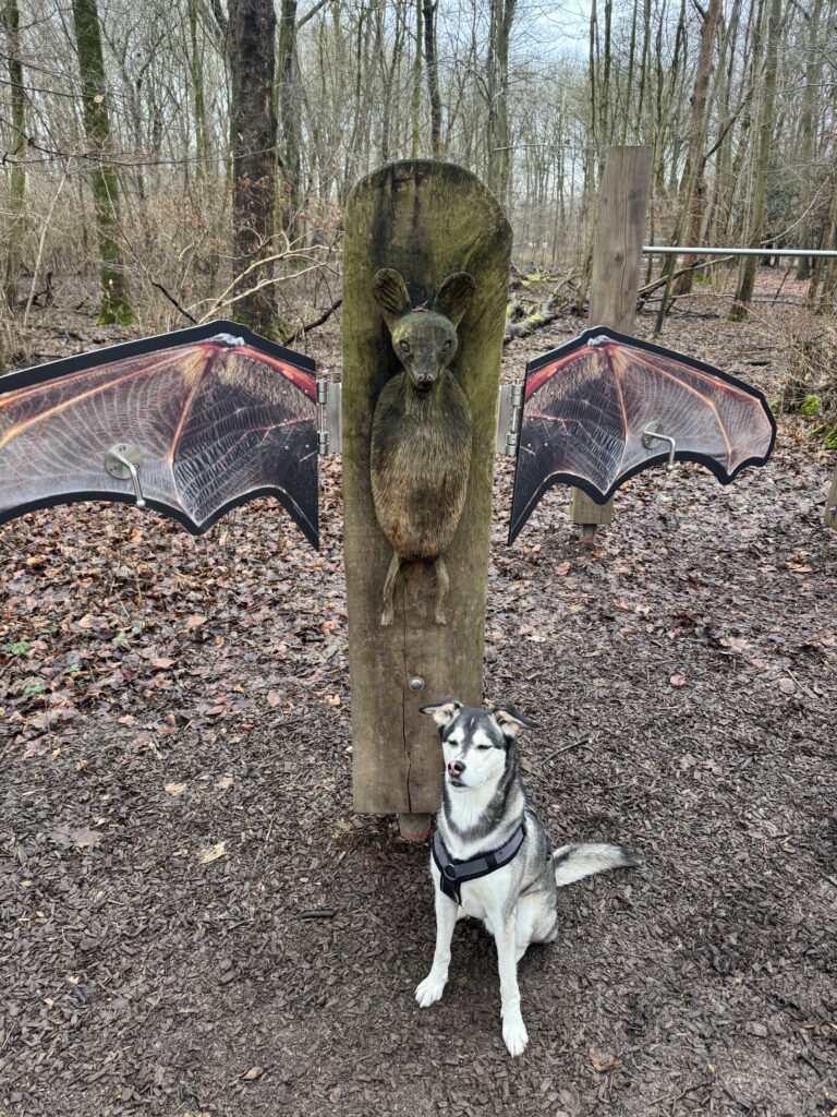 Der Revierpark bietet zahlreiche Möglichkeiten für Leinenführigkeit und Hundebegegnungen im Alltag.
