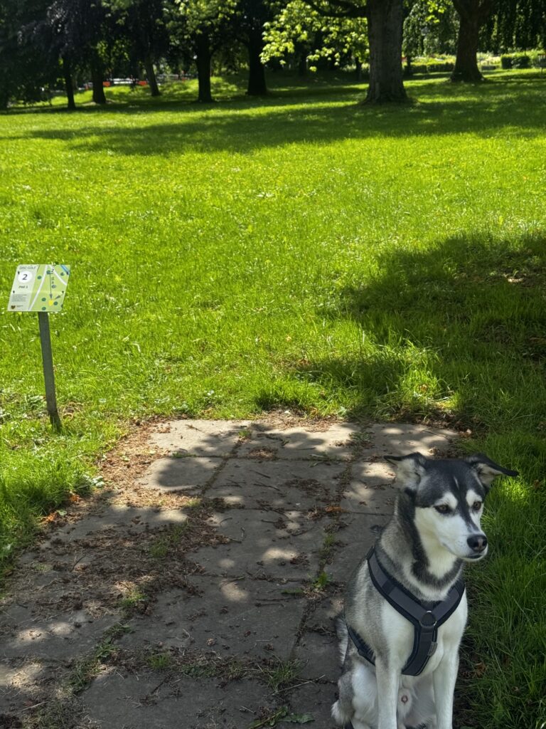 Beliebter Spazierort für Hundehalter aus Dortmund-Marten. Die unterschiedlichen Wege und Begegnungssituationen schaffen optimale Voraussetzungen für praxisnahes Alltagstraining.