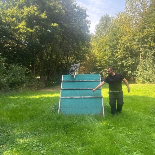 Hundeschule in Dortmund mit AWand